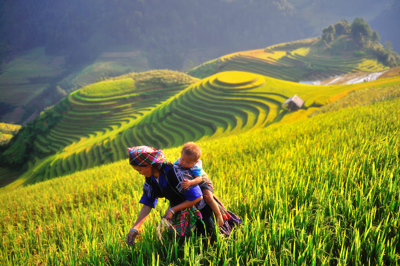 Tour Du Lịch Ghép Đoàn