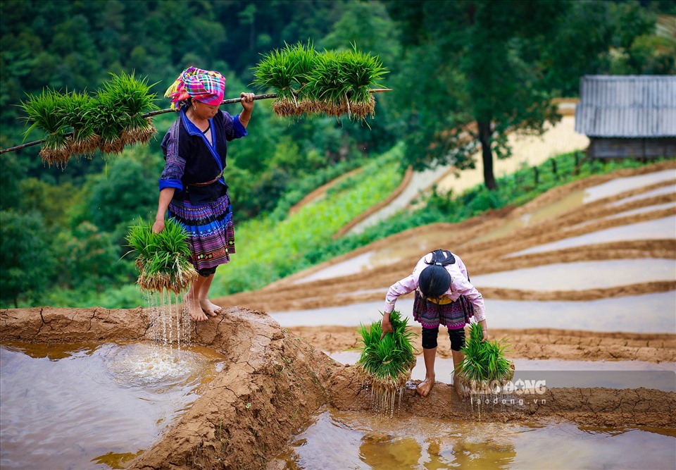 Tour Du Lịch Ghép Đoàn