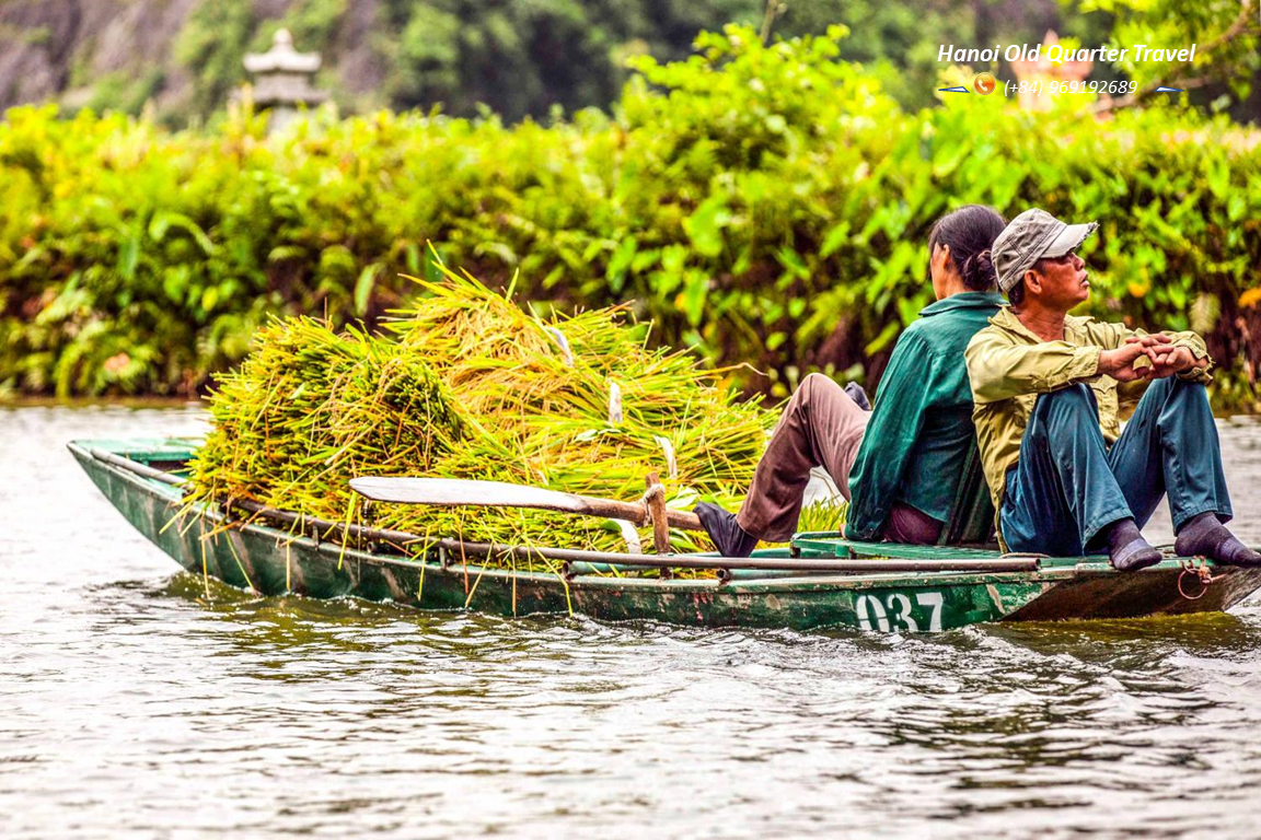 Hoa Lu – Tam Coc 1 Day Tour