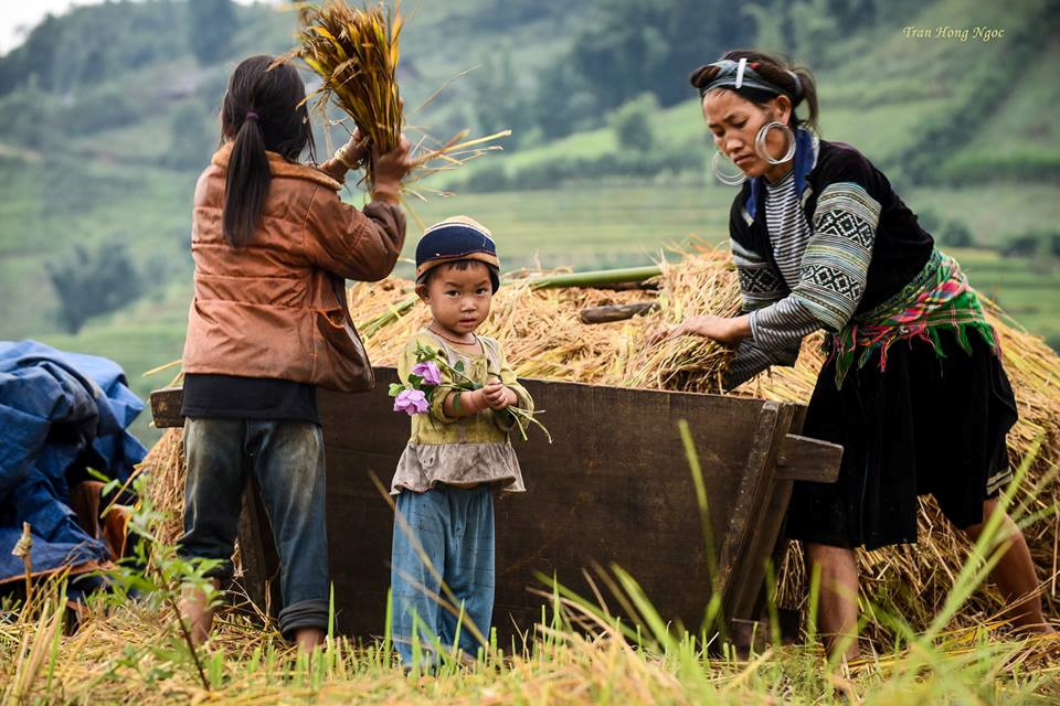 Tour Du Lịch Ghép Đoàn