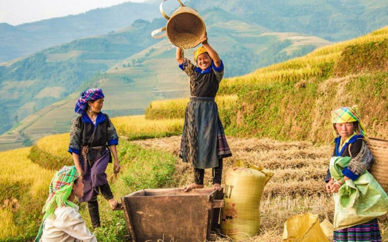 Tour Du Lịch Ghép Đoàn