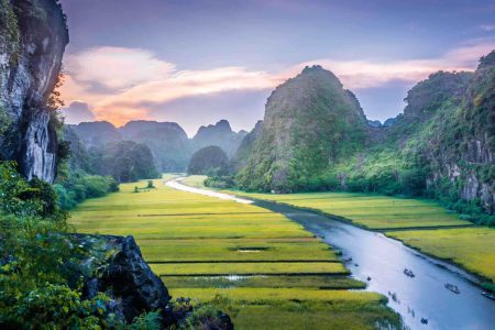 tam coc