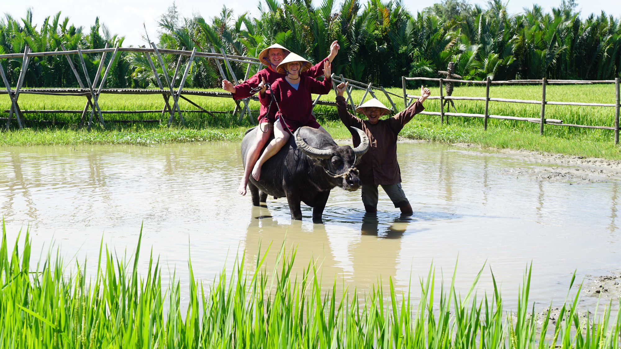 Tour Du Lịch Ghép Đoàn