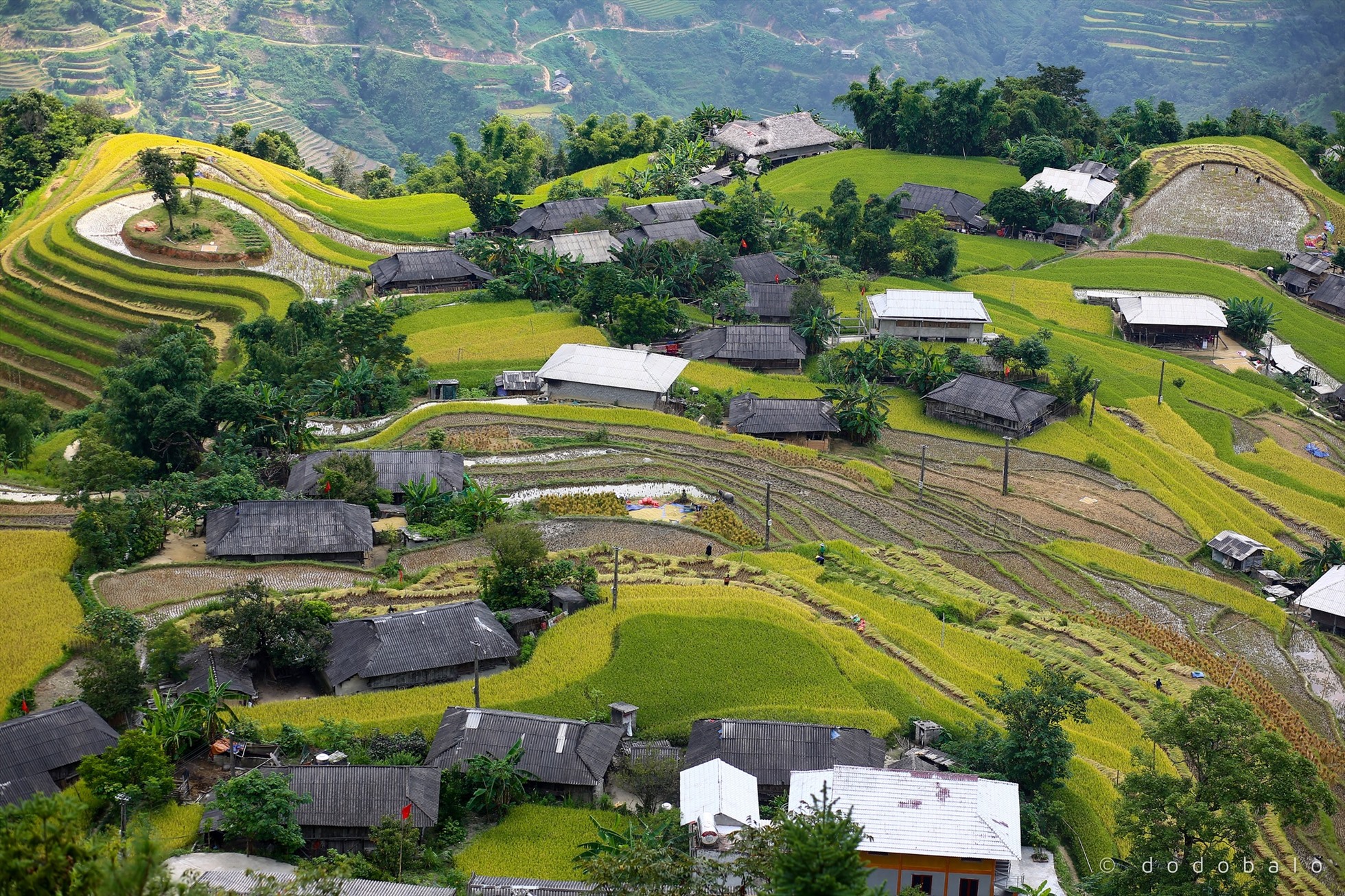 Tour Du Lịch Ghép Đoàn