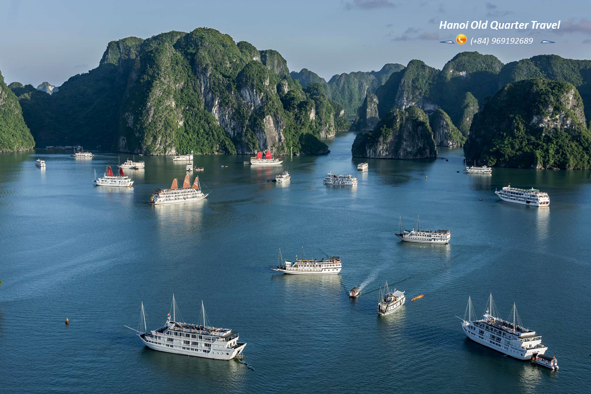 ARCADY BOUTIQUE CRUISES- A 5 STAR CRUISE IN HA LONG BAY