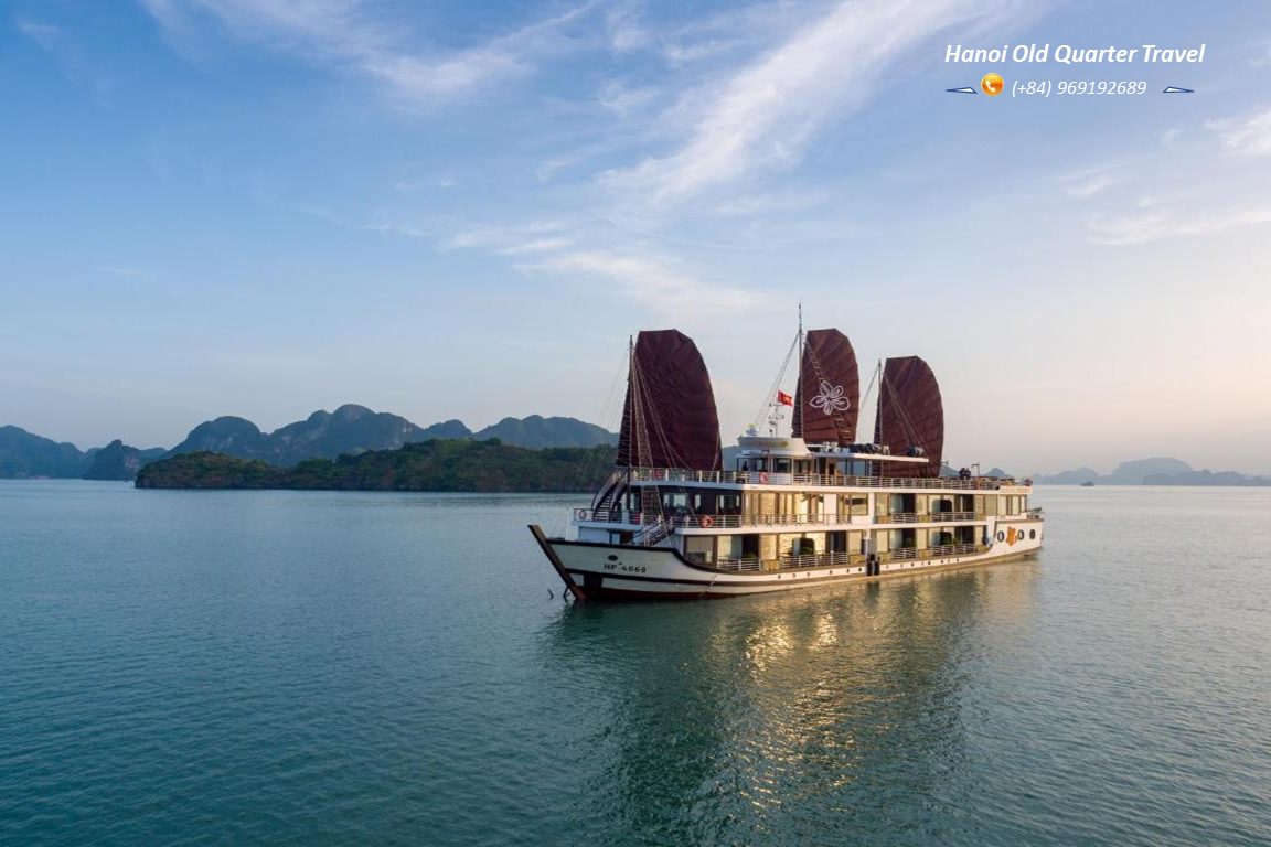 ORCHID TRENDY CRUISE- A 5 STAR CRUISE IN LAN HA BAY