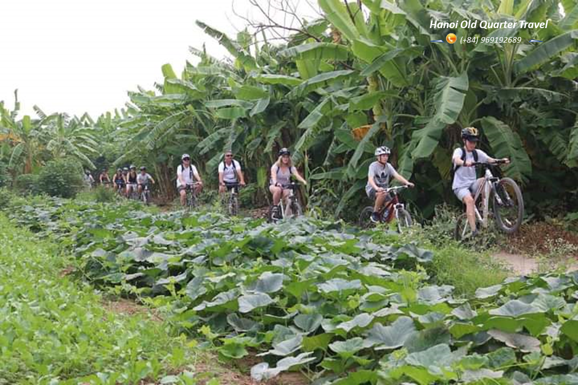 Hanoi City Tour – By Bicycle