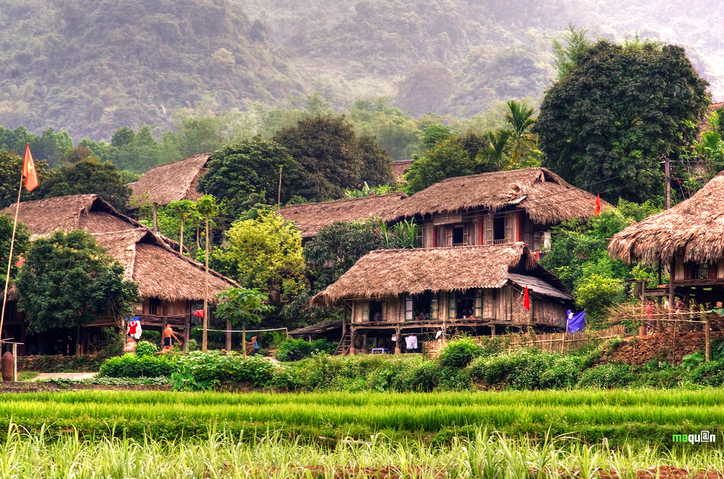 Tour Du Lịch Ghép Đoàn