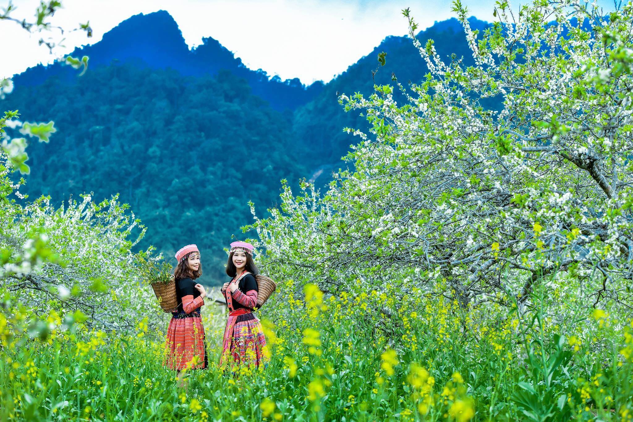 Tour Du Lịch Ghép Đoàn