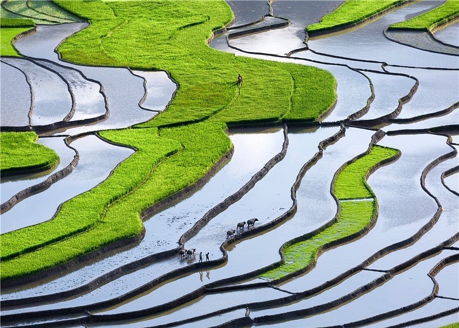 Tour Du Lịch Ghép Đoàn