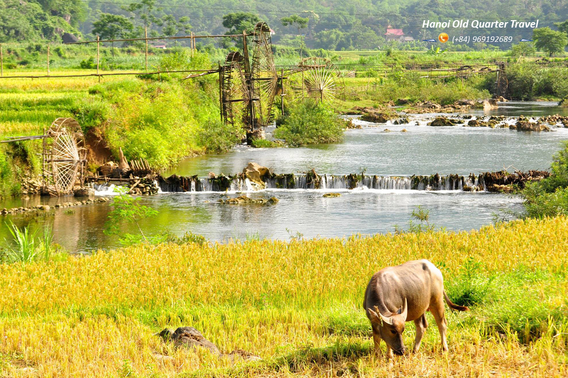 Mai Chau Pu Luong 2 Days – 1 Night