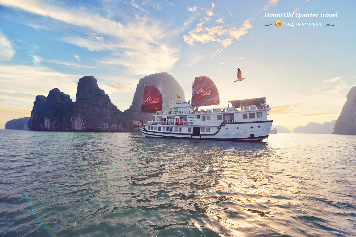 Renea Cruise – A 4 Star cruise in Bai Tu Long Bay