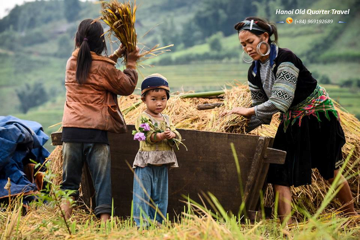 Sapa Tour By Bus  2 Days- 1 Night at Homestay