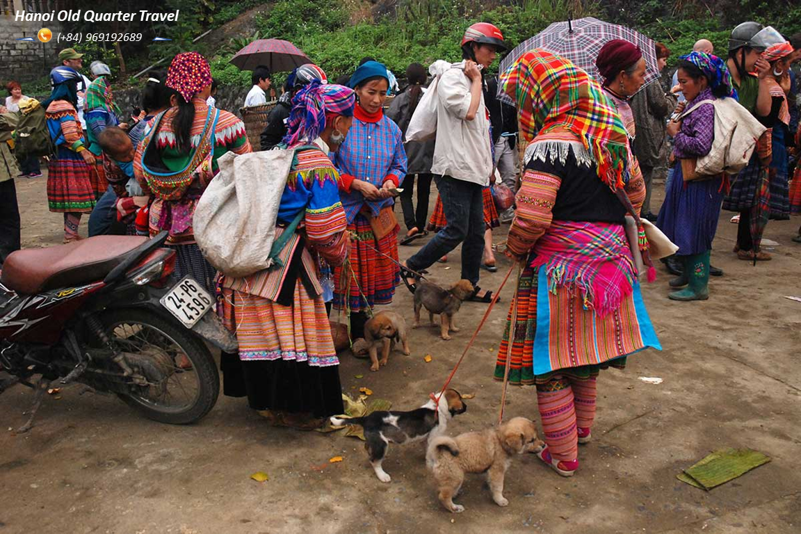 Sapa Tour By Train  2 Days- 1 Night at Homestay