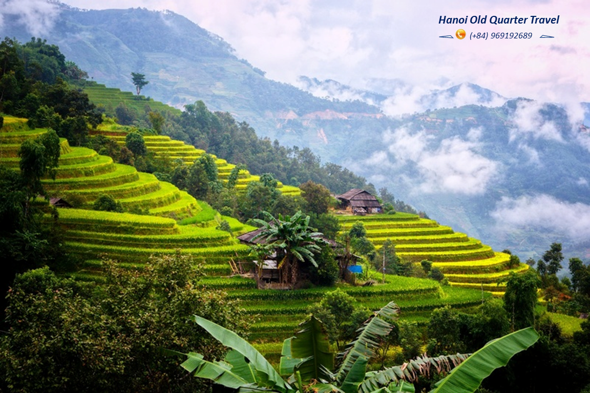 Sapa Tour By Train  2 Days- 1 Night at Homestay