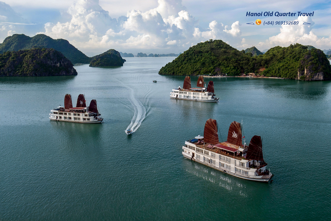 Pelican Glory Cruises- A 4 Star Cruise In Ha Long Bay