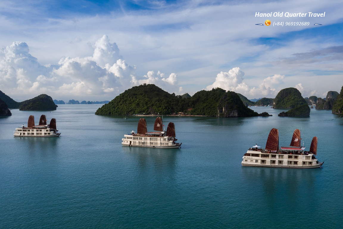 Pelican Glory Cruises- A 4 Star Cruise In Ha Long Bay